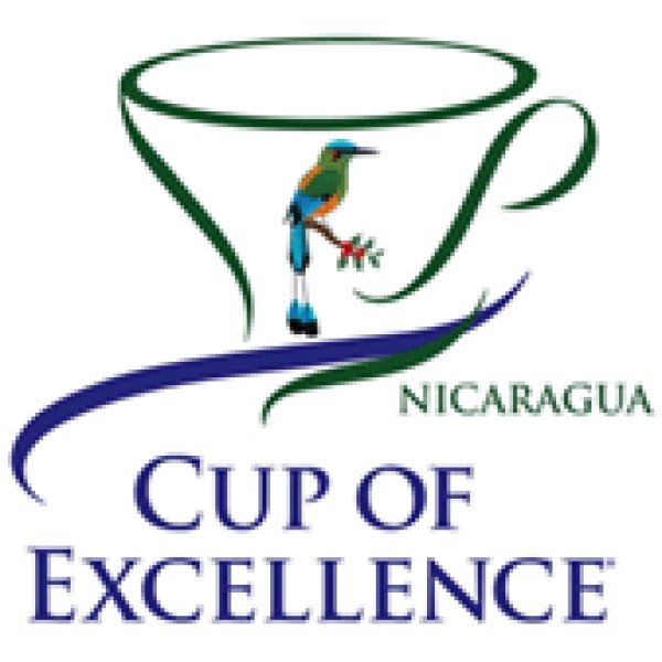 画像3: ニカラグア　キタ・スエーニョス　COE2023 100g
