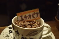 エチオピアイルガチェフG1（モカ）ナチュラル 100g